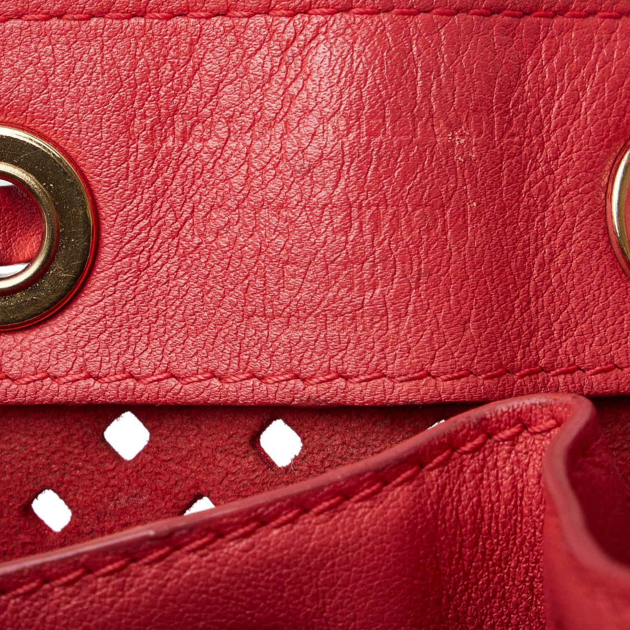 Louis Vuitton x Sofia Coppola Flore Perforated Noe Rood