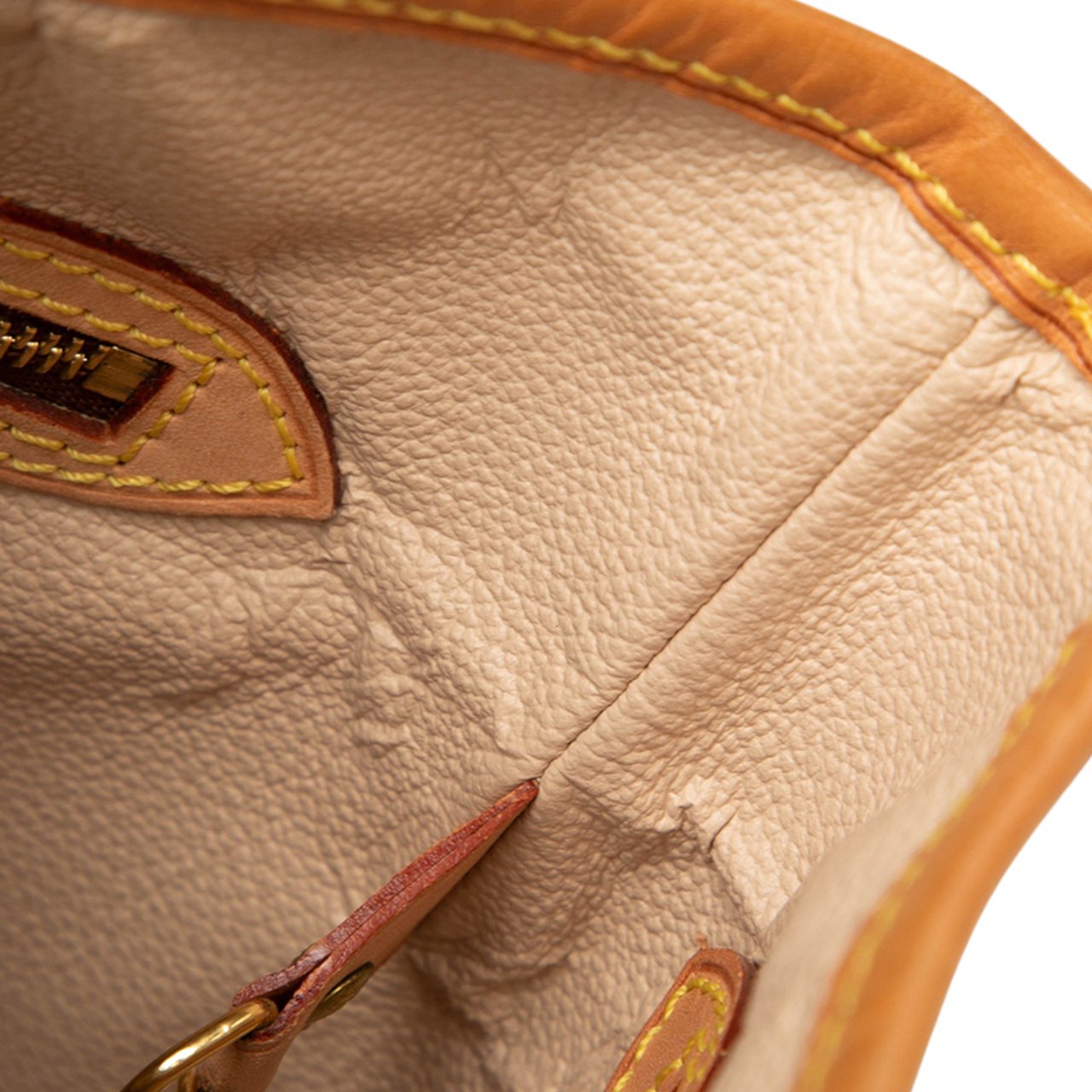 Louis Vuitton Monogram Petit Bucket Bruin