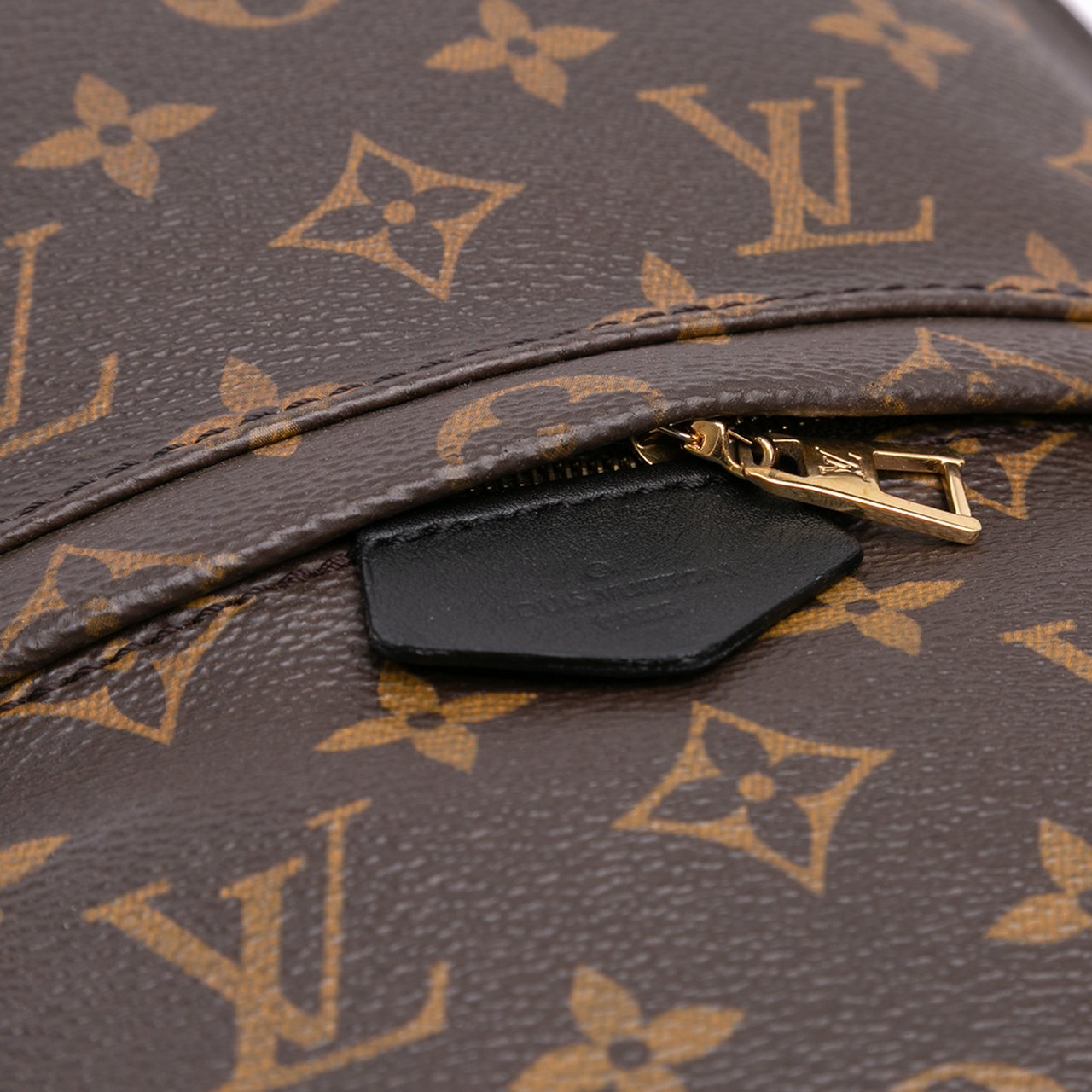 Louis Vuitton Monogram Palm Springs PM Bruin