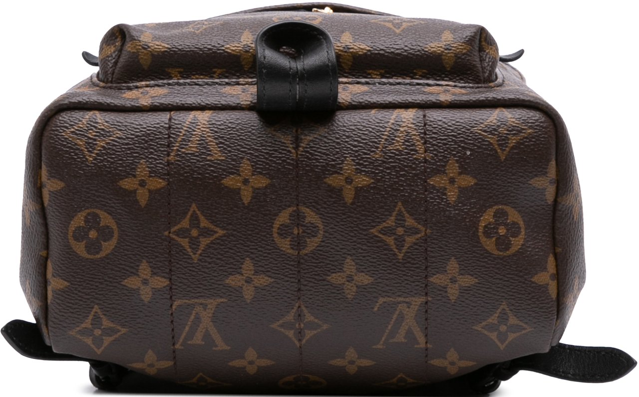 Louis Vuitton Monogram Palm Springs PM Bruin