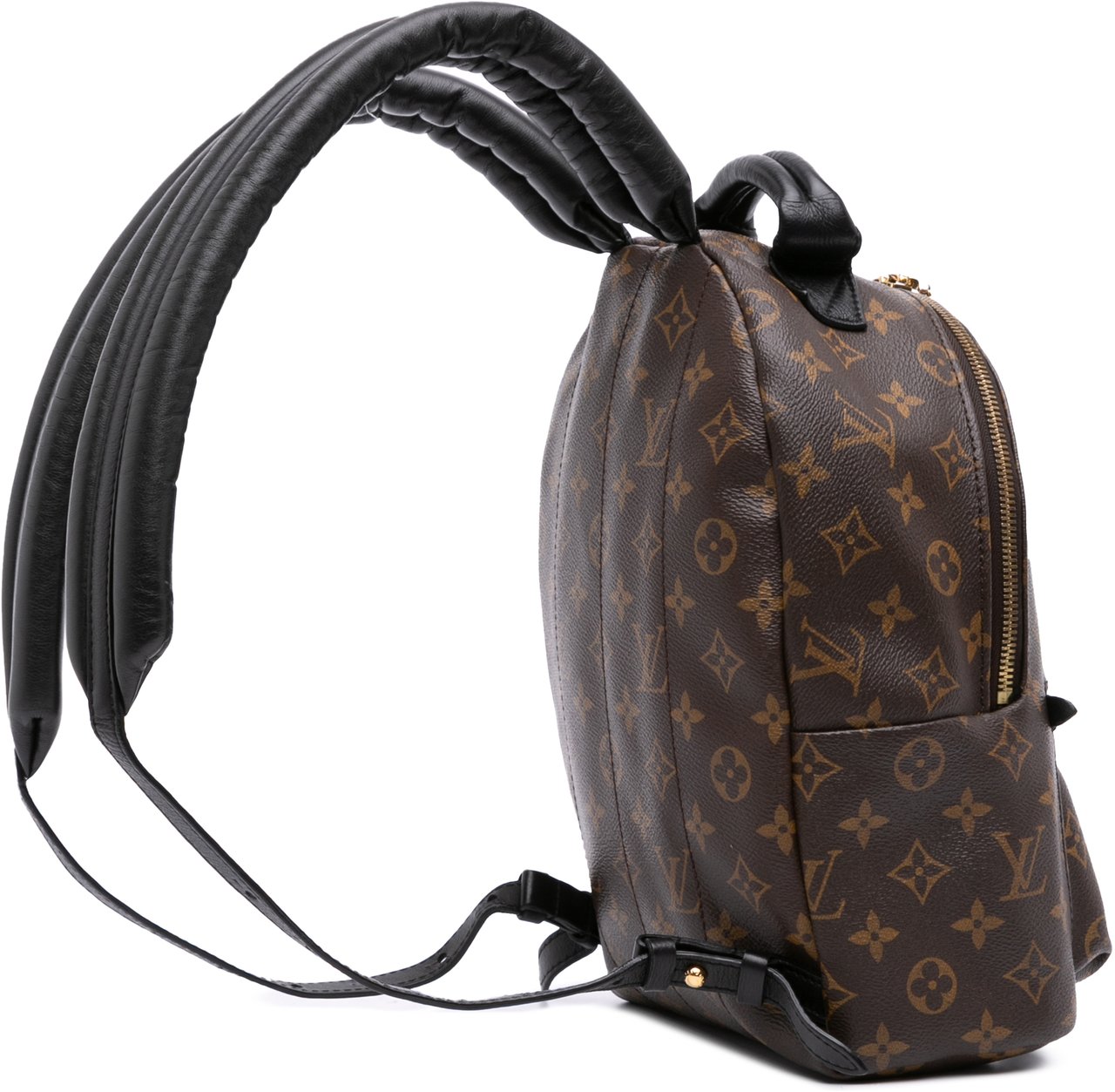 Louis Vuitton Monogram Palm Springs PM Bruin