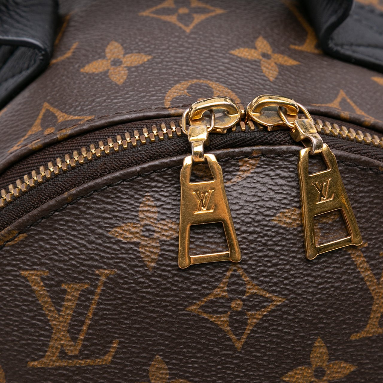 Louis Vuitton Monogram Palm Springs PM Bruin