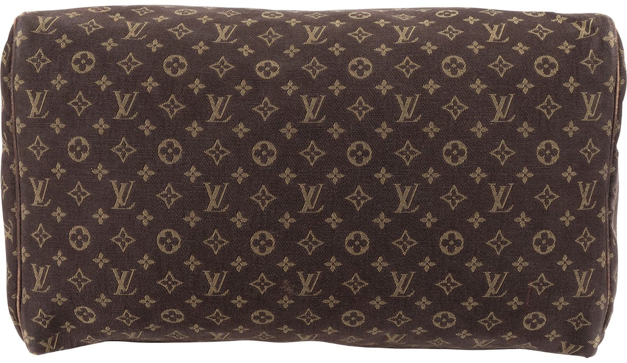 Louis Vuitton Louis Vuitton Monogram Mini Lin Speedy 30 Handbag Bruin