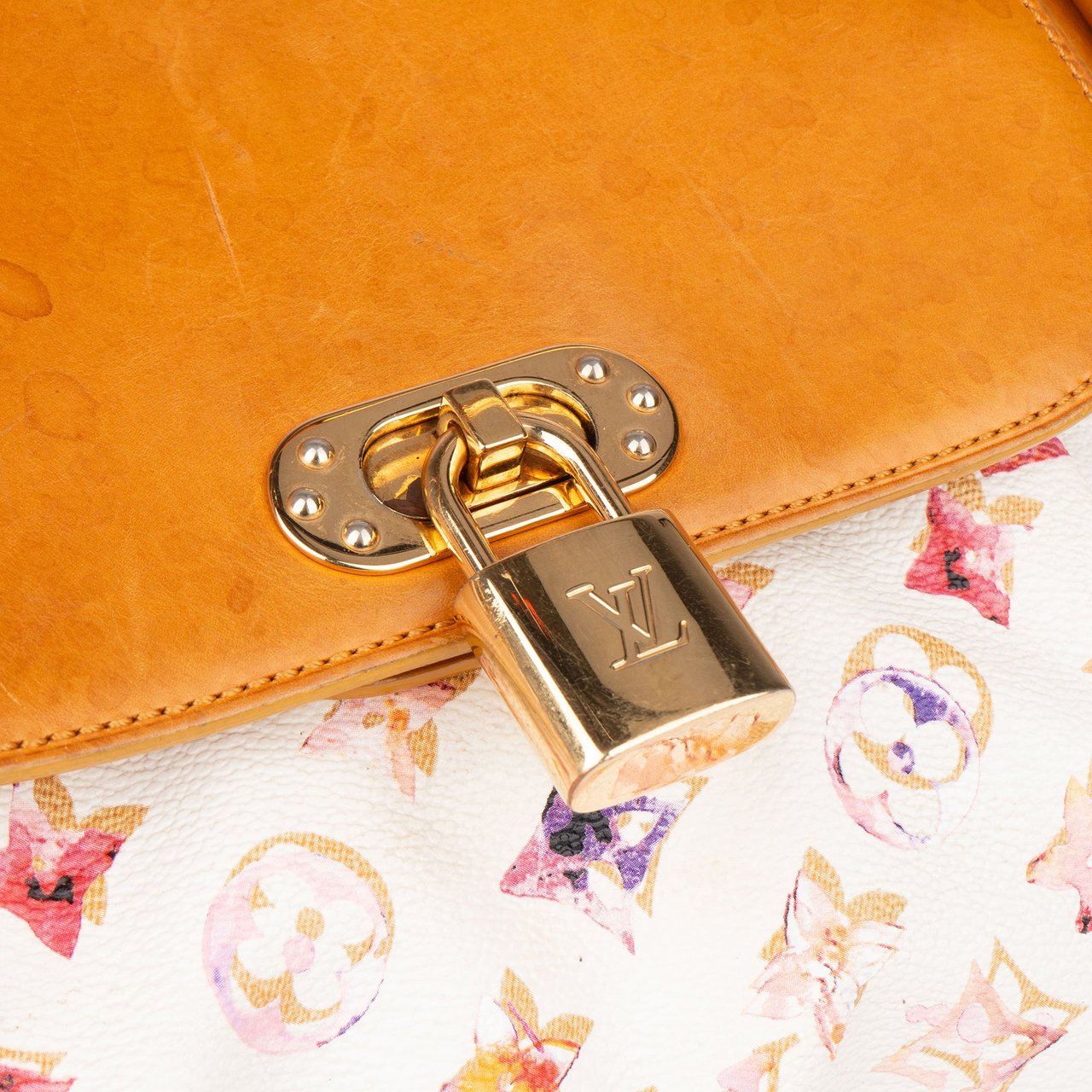 Louis Vuitton Louis Vuitton Richard Prince Watercolor Monogram Jamais Shoulder Bag Divers