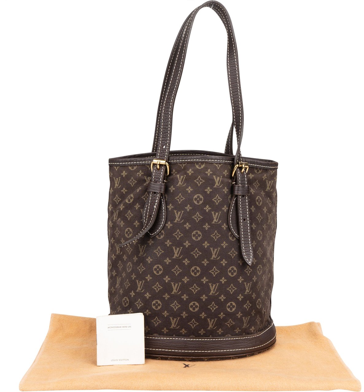 Louis Vuitton Louis Vuitton Mini Lin Monogram Bucket Bag Divers