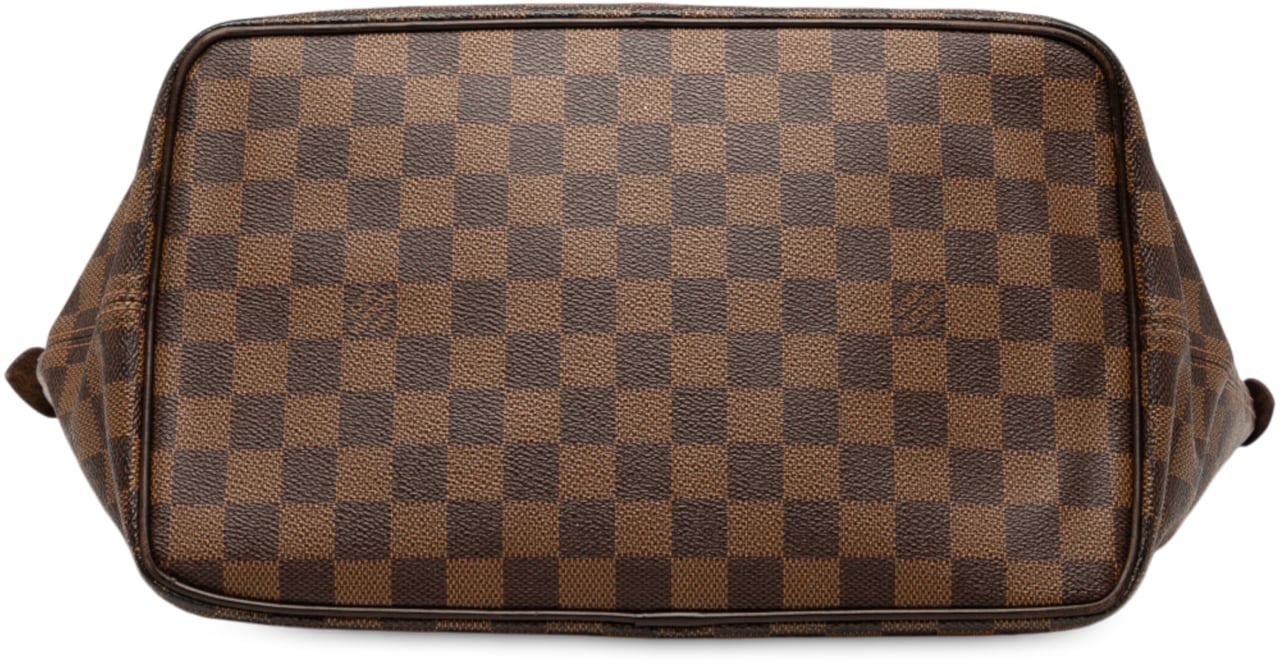 Louis Vuitton Damier Ebene Saleya MM Bruin