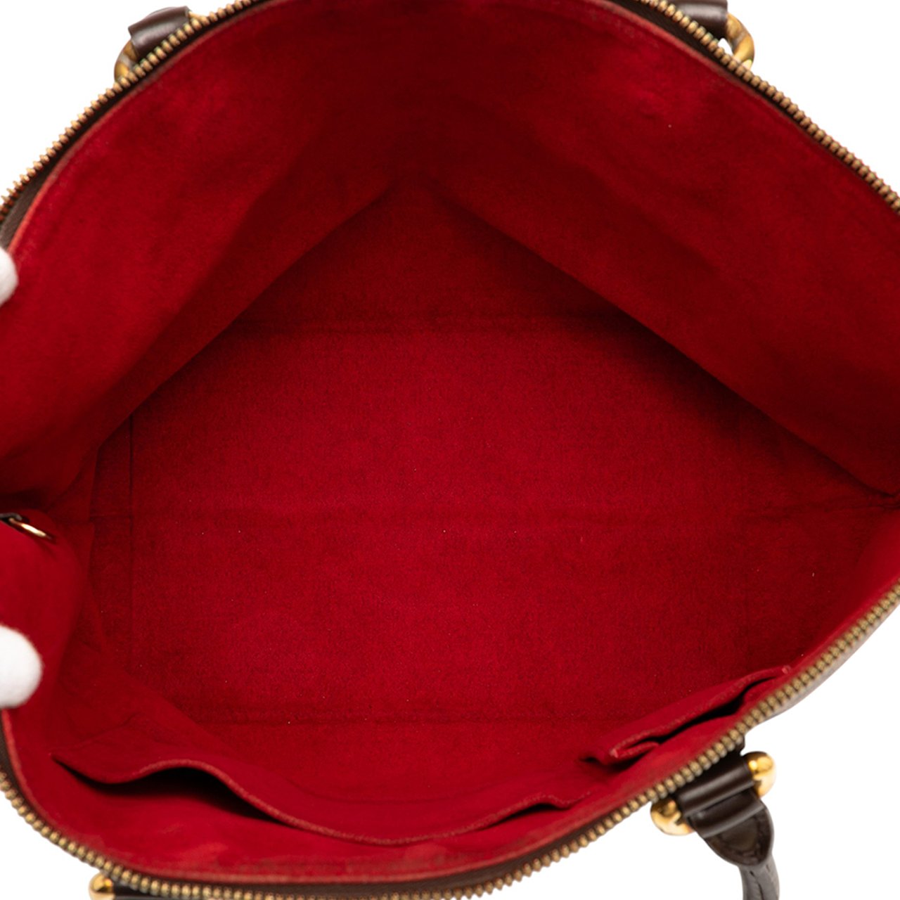 Louis Vuitton Damier Ebene Saleya MM Bruin