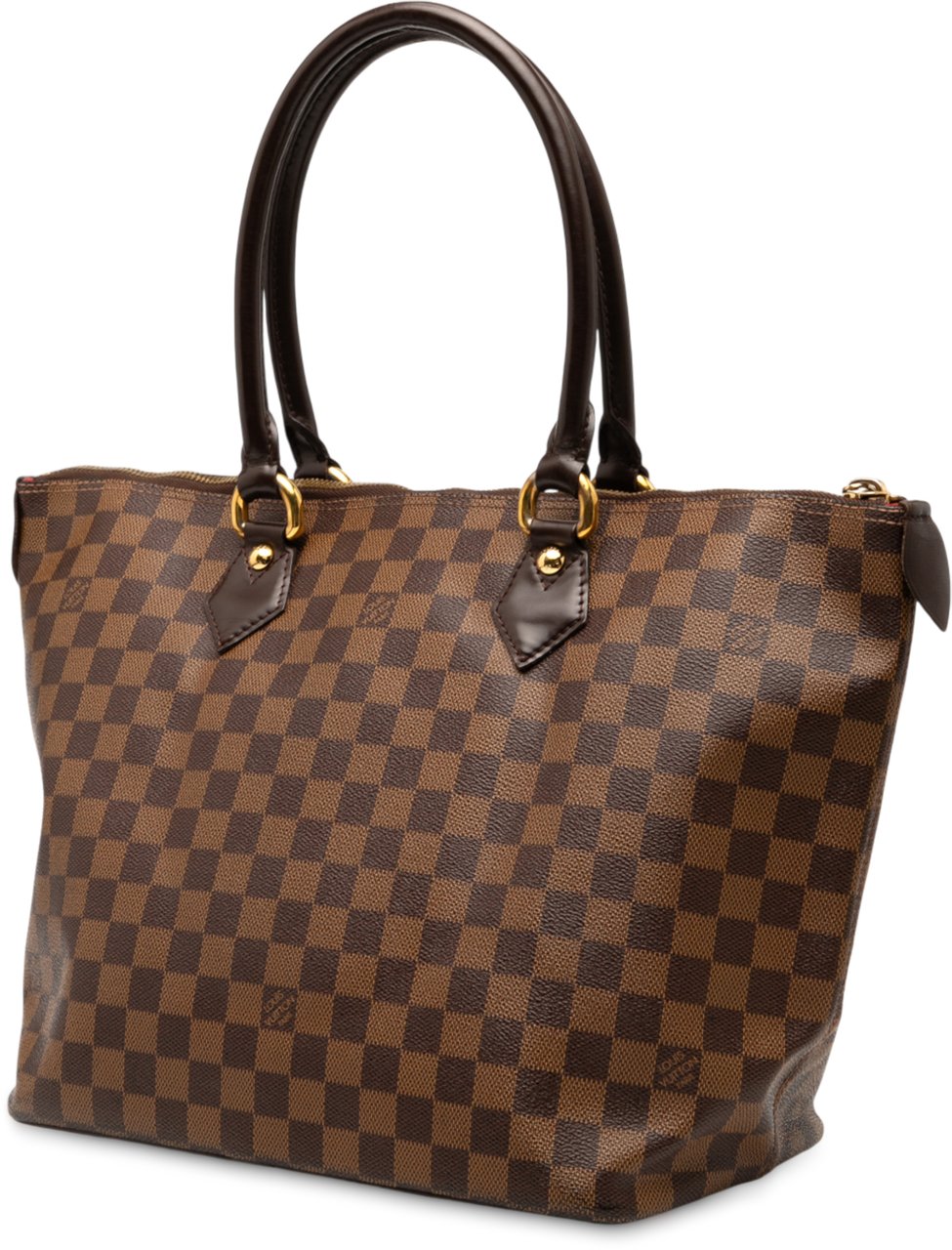 Louis Vuitton Damier Ebene Saleya MM Bruin