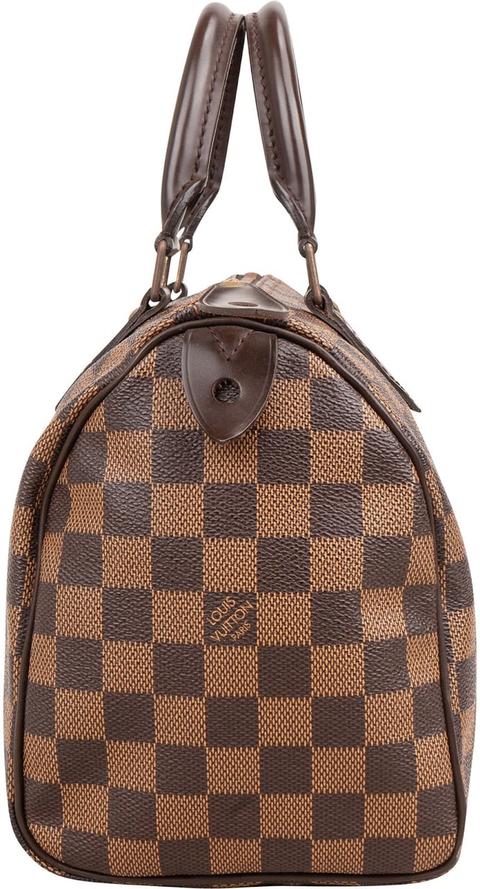 Louis Vuitton Louis Vuitton Monogram Damier Ebene Speedy 25 Handbag Bruin