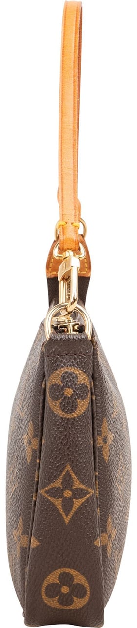 Louis Vuitton Louis Vuitton Monogram Canvas Pochette Accessoires Handbag Bruin