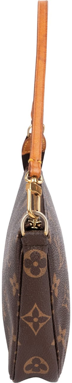 Louis Vuitton Monogram Canvas Pochette Accessoires Handbag Bruin