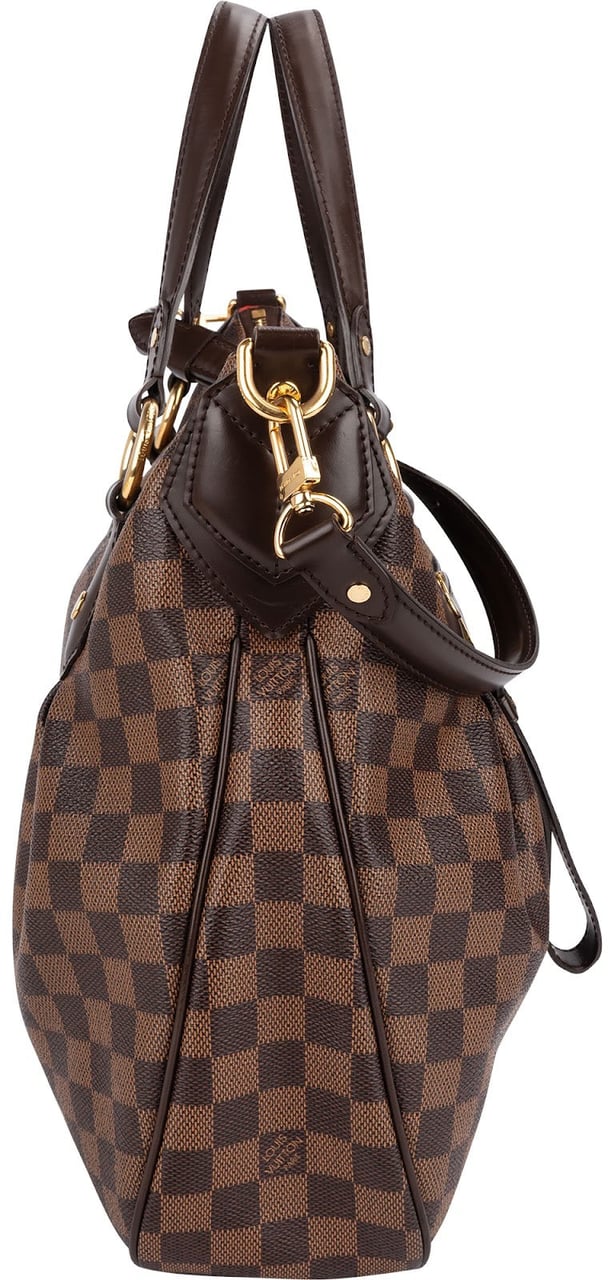Louis Vuitton Monogram Damier Ebene Evora MM Handbag Bruin