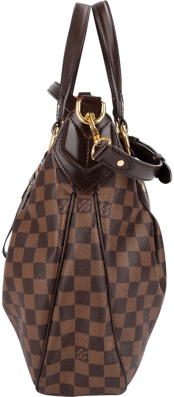 Louis Vuitton Monogram Damier Ebene Evora MM Handbag Bruin