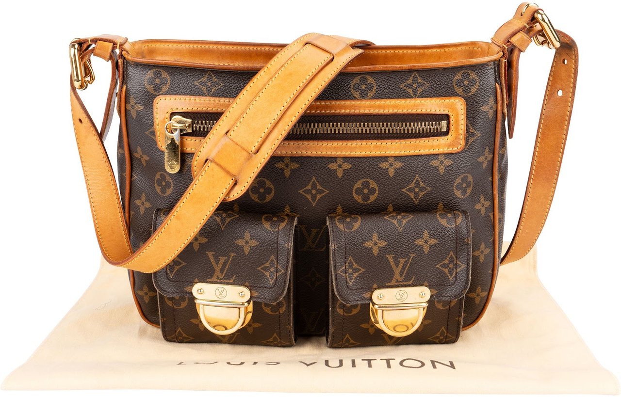 Louis Vuitton Louis Vuitton Monogram Canvas Hudson GM Crossbody Bag Bruin