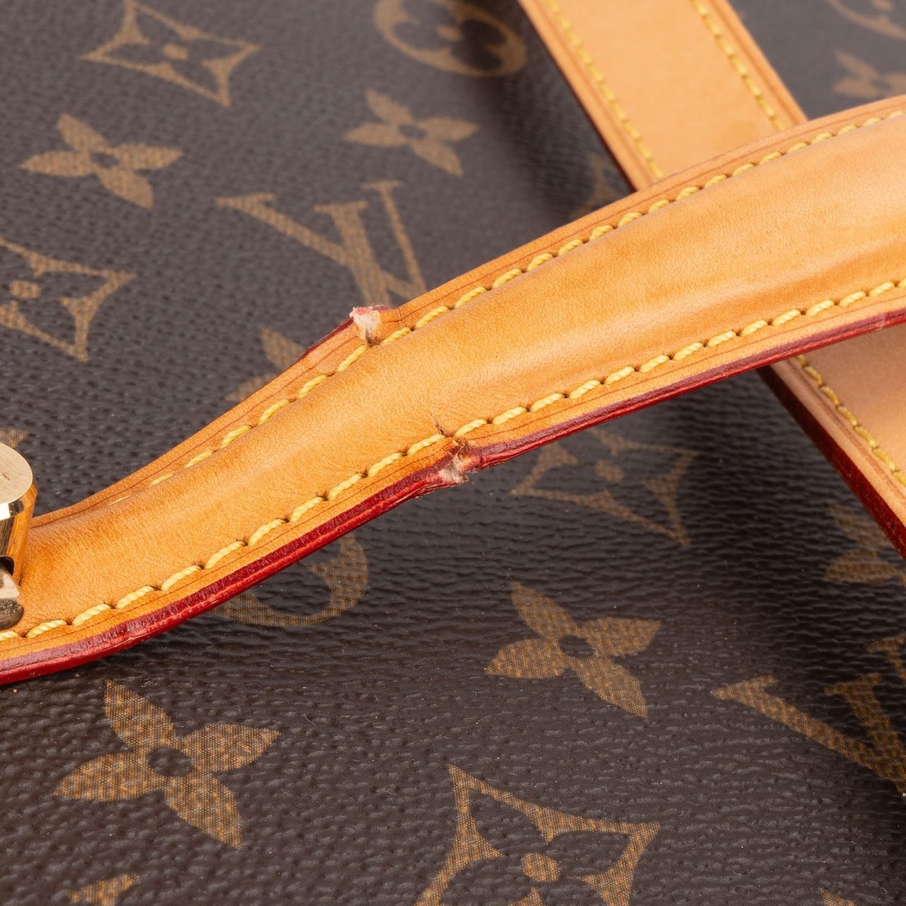 Louis Vuitton Monogram Canvas Nice Vanity Handbag Bruin
