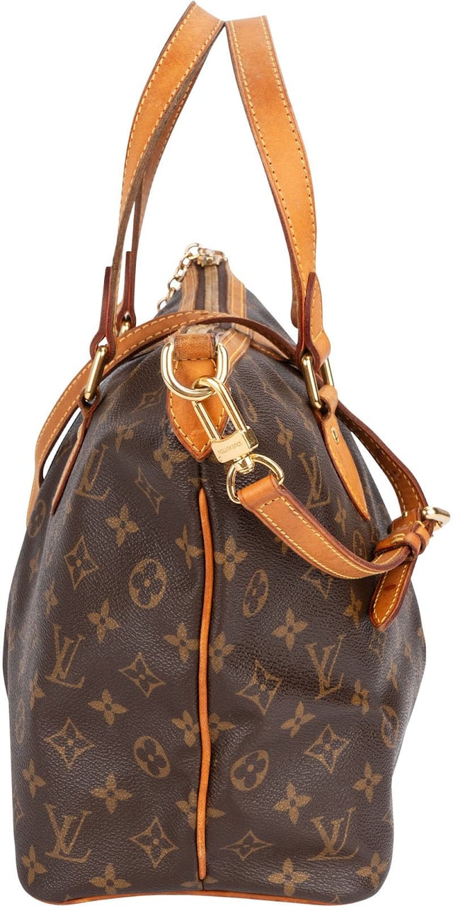 Louis Vuitton Monogram Canvas Palermo PM Handbag Bruin
