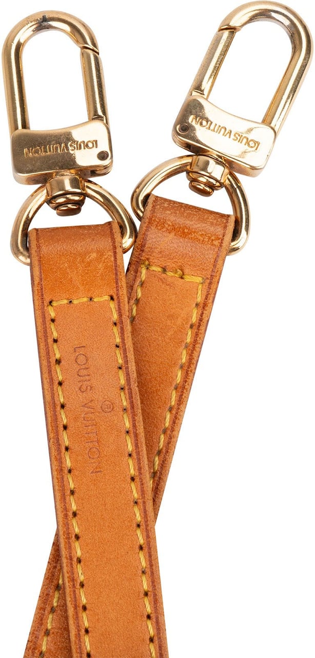 Louis Vuitton Vachetta Leather Bags Strap Bruin