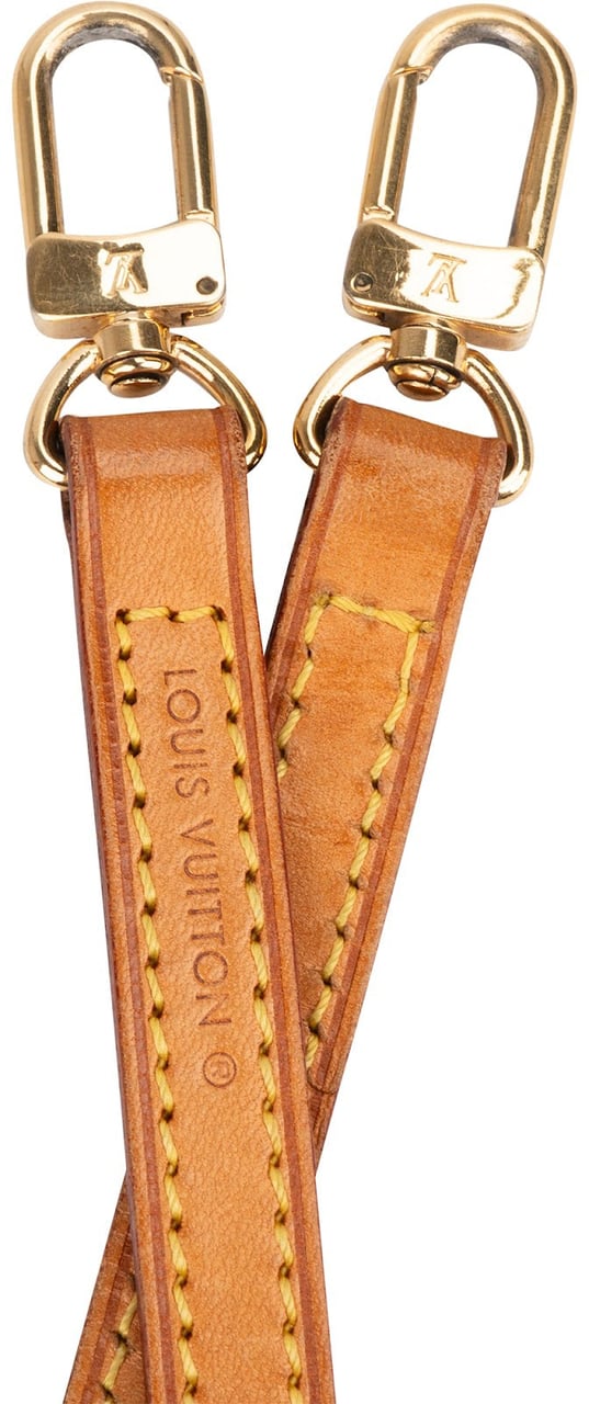 Louis Vuitton Vachetta Leather Bags Strap Bruin