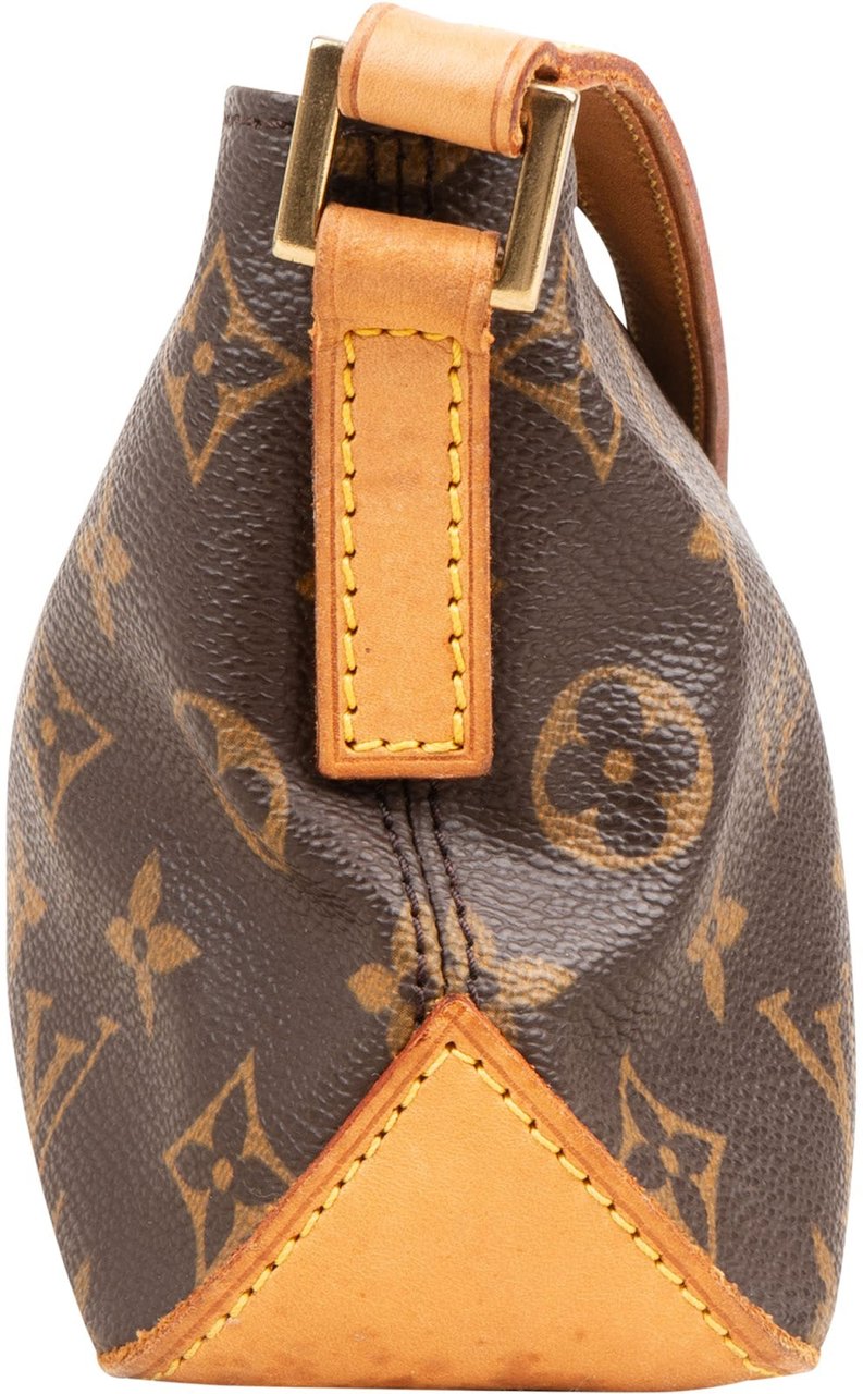 Louis Vuitton Monogram Canvas Trotteur Crossbody Bag Bruin