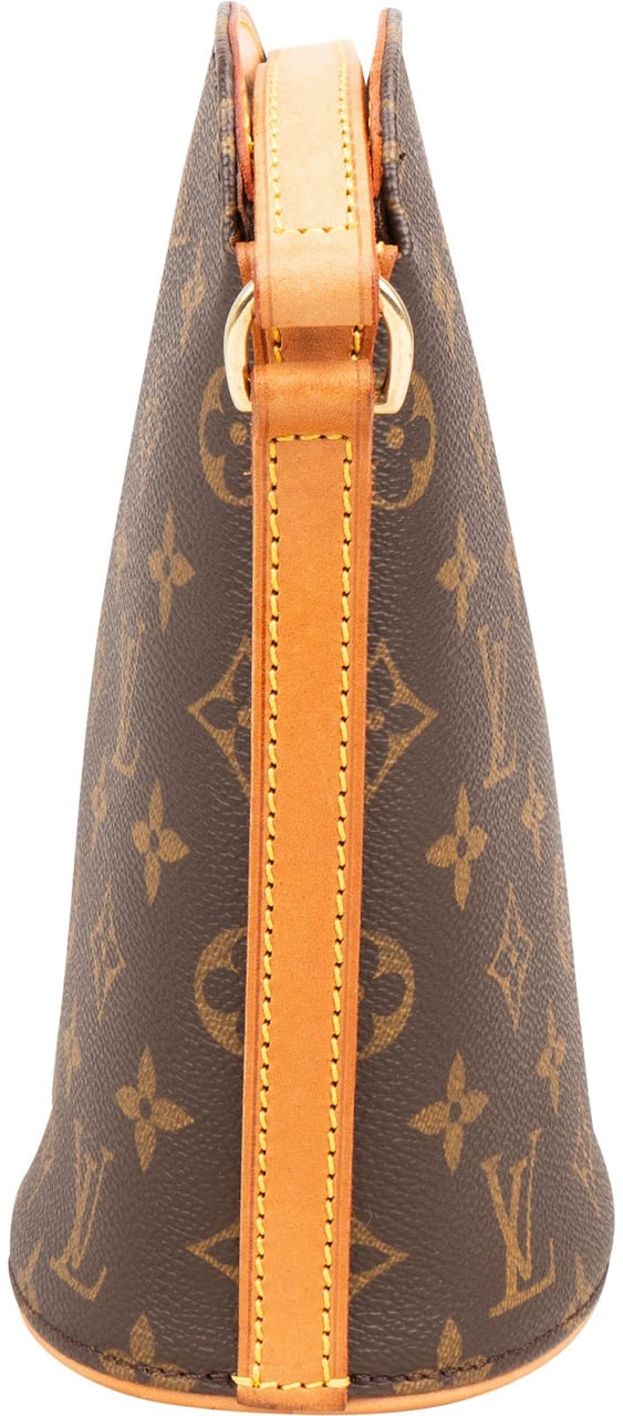 Louis Vuitton Monogram Canvas Drouot Crossbody Bag Bruin
