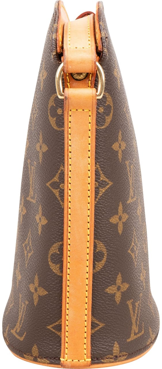 Louis Vuitton Monogram Canvas Drouot Crossbody Bag Bruin