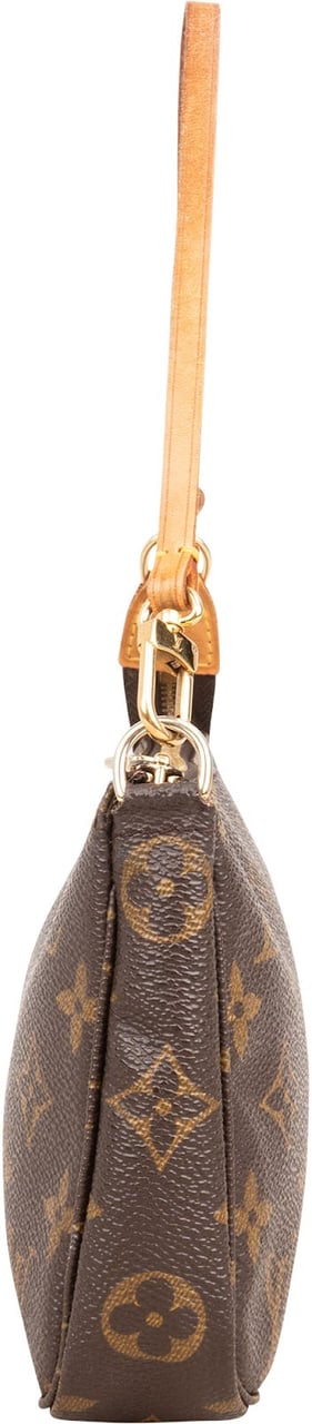Louis Vuitton Monogram Canvas Pochette Accessoires Handbag Bruin