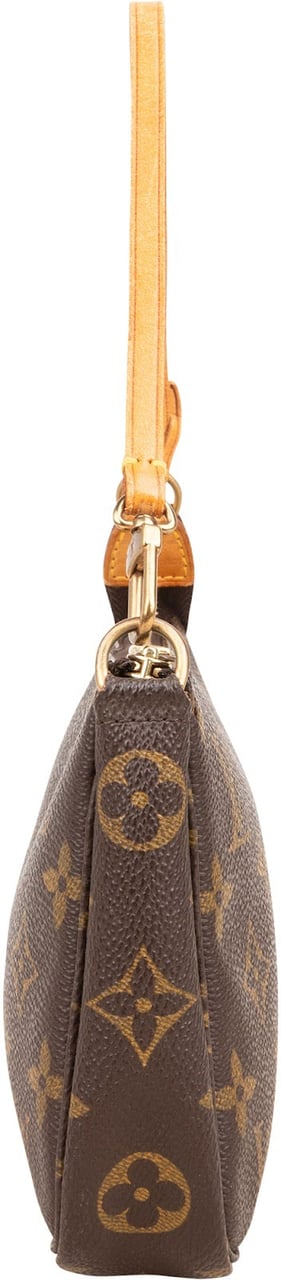 Louis Vuitton Monogram Canvas Pochette Accessoires Handbag Bruin