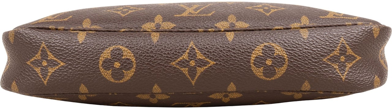 Louis Vuitton Monogram Canvas Pochette Accessoires Handbag Bruin