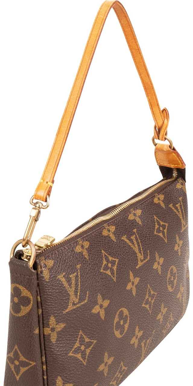 Louis Vuitton Monogram Canvas Pochette Accessoires Handbag Bruin