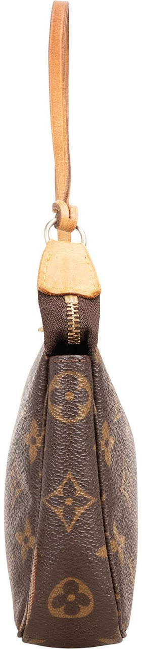 Louis Vuitton Monogram Canvas Pochette Accessoires Handbag Bruin