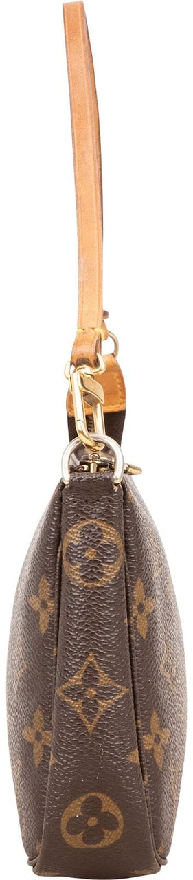 Louis Vuitton Monogram Canvas Pochette Accessoires Handbag Bruin