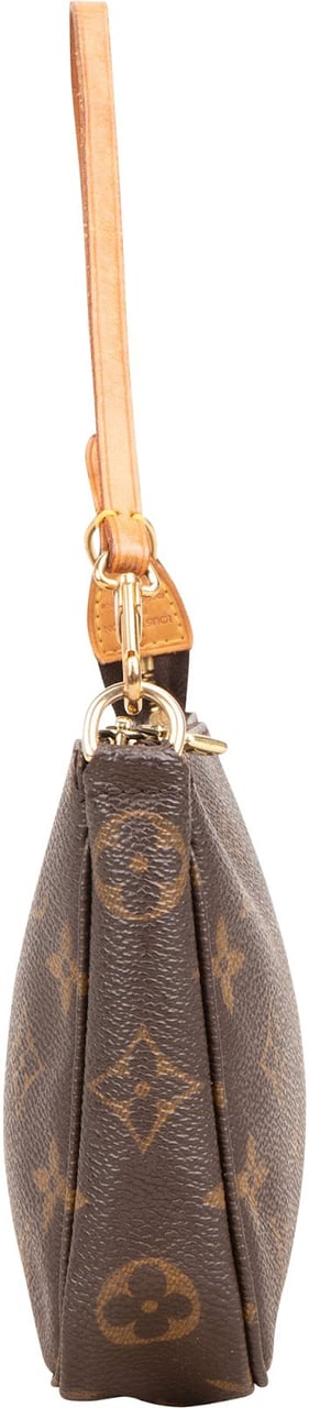 Louis Vuitton Monogram Canvas Pochette Accessoires Handbag Bruin