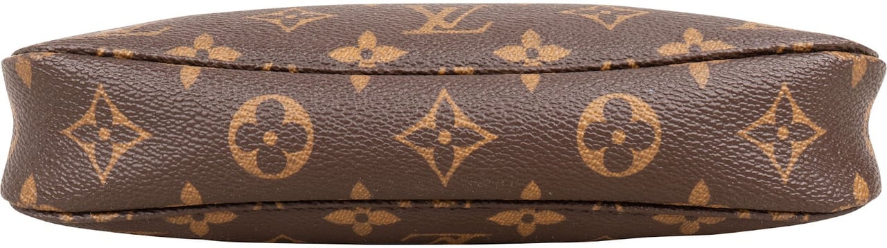 Louis Vuitton Monogram Canvas Pochette Accessoires Handbag Bruin