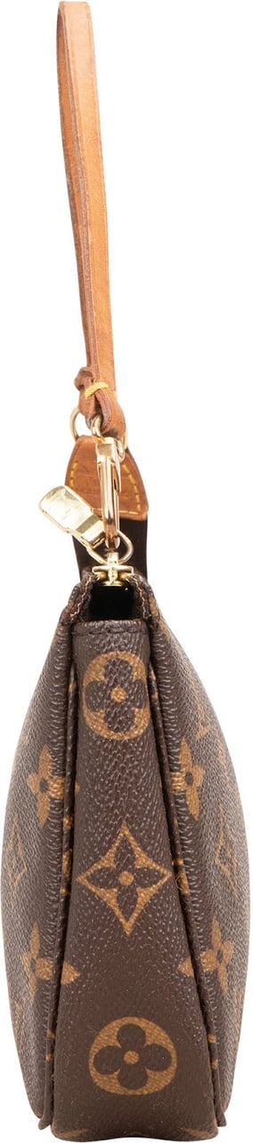 Louis Vuitton Monogram Canvas Pochette Accessoires Handbag Bruin