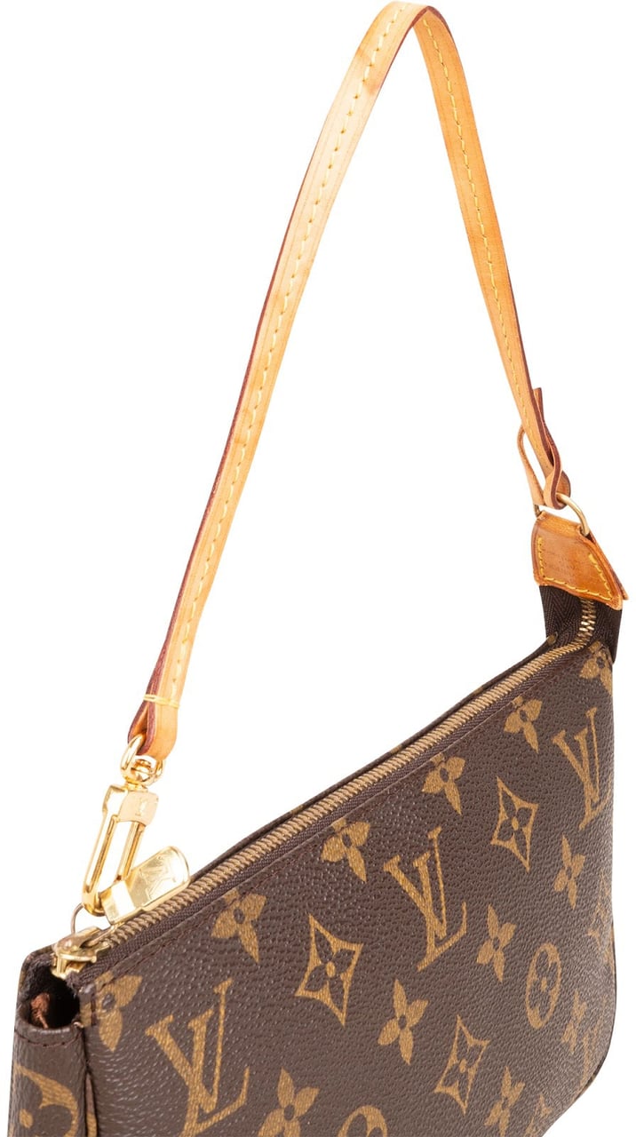 Louis Vuitton Monogram Canvas Pochette Accessoires Handbag Bruin