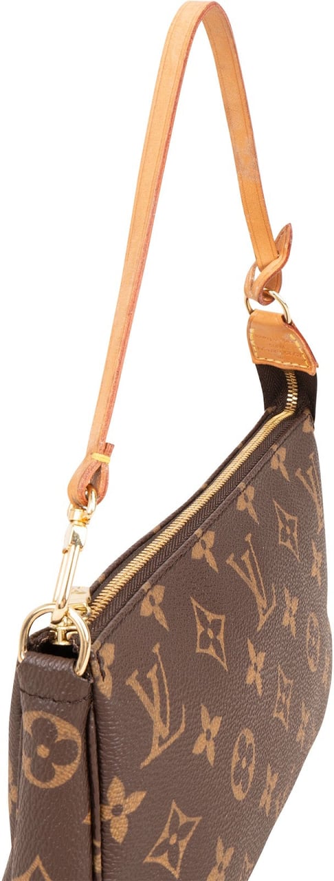 Louis Vuitton Monogram Canvas Pochette Accessoires Handbag Bruin
