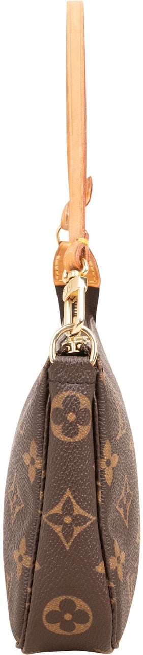 Louis Vuitton Monogram Canvas Pochette Accessoires Handbag Bruin