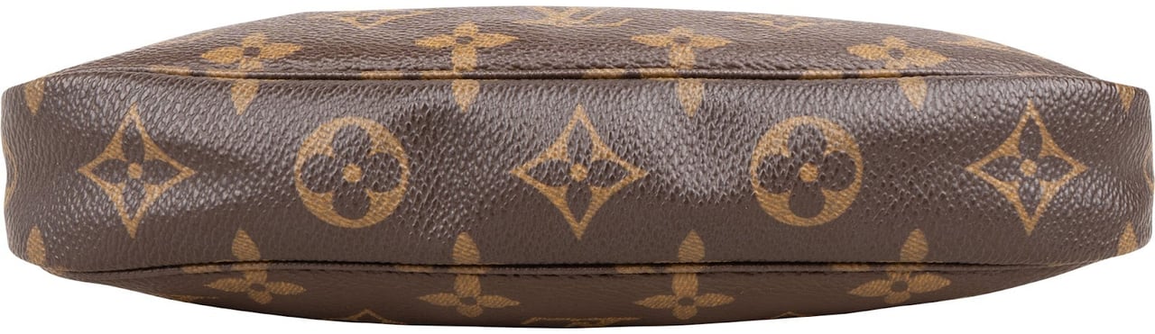 Louis Vuitton Monogram Canvas Pochette Accessoires Handbag Bruin