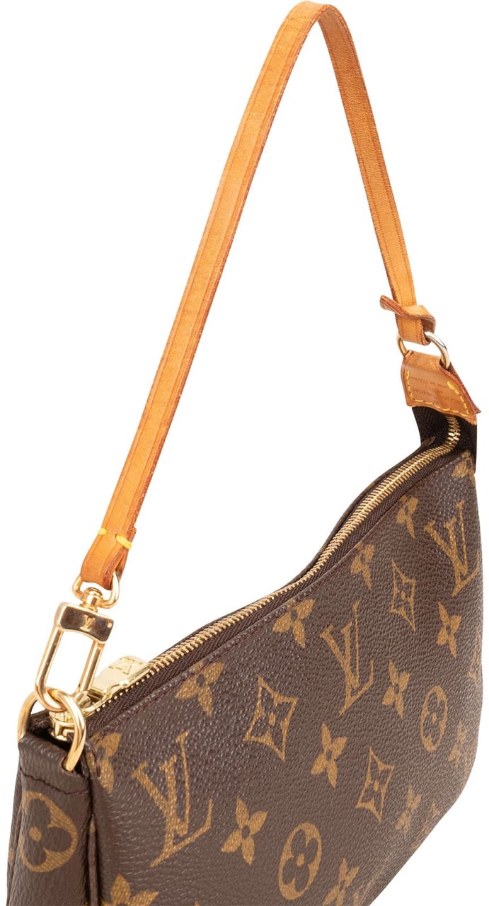 Louis Vuitton Monogram Canvas Pochette Accessoires Handbag Bruin