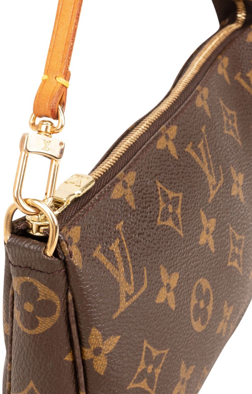 Louis Vuitton Monogram Canvas Pochette Accessoires Handbag Bruin