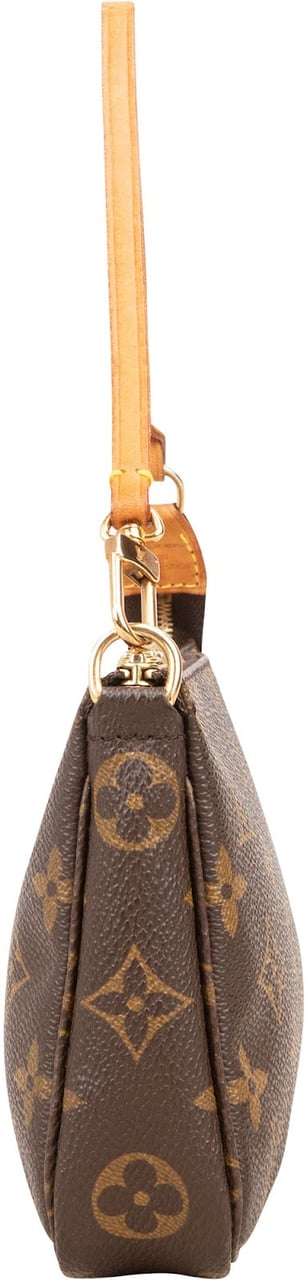 Louis Vuitton Monogram Canvas Pochette Accessoires Handbag Bruin