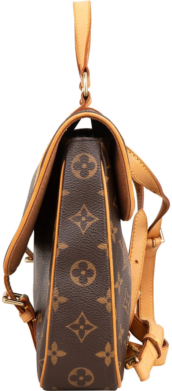 Louis Vuitton Monogram Canvas Marelle 2 in 1 Handbag Backpack Bruin