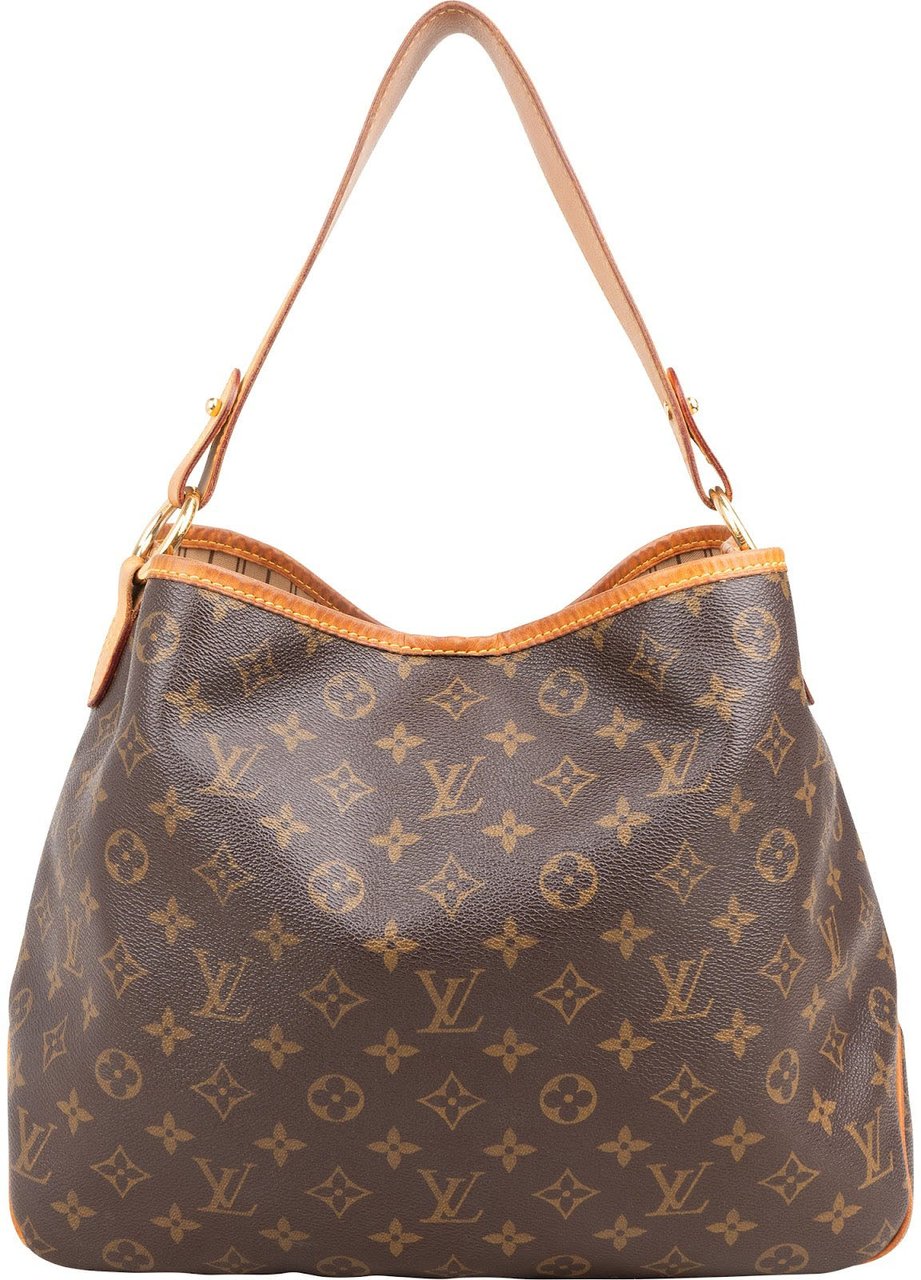 Louis Vuitton Monogram Canvas Delightful PM Shoulder Bag Bruin