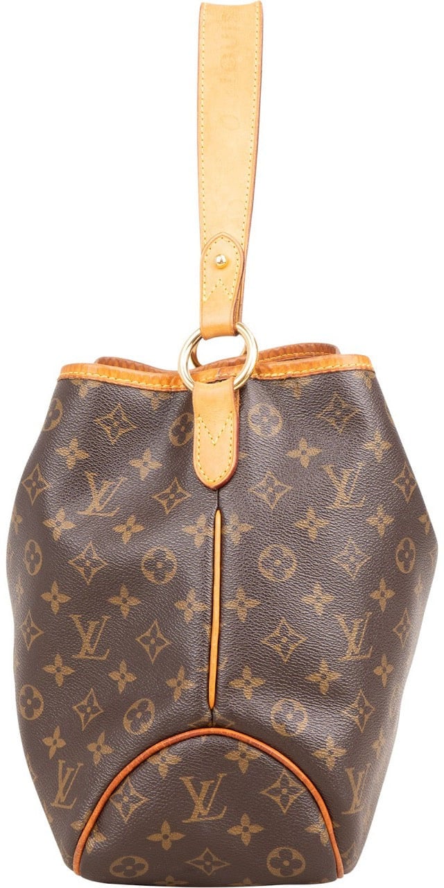 Louis Vuitton Monogram Canvas Delightful PM Shoulder Bag Bruin