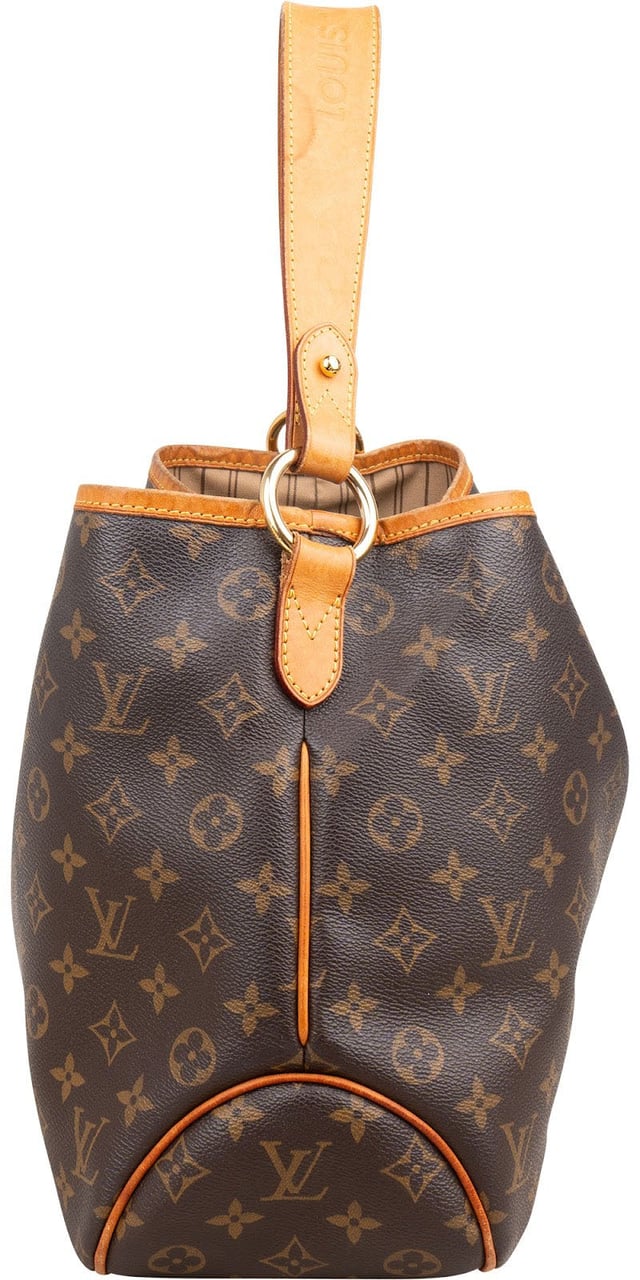 Louis Vuitton Monogram Canvas Delightful PM Shoulder Bag Bruin