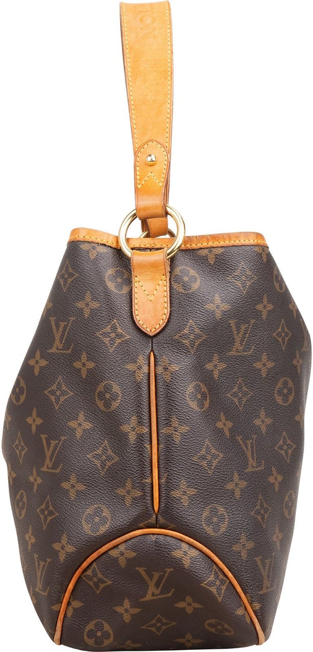 Louis Vuitton Monogram Canvas Delightful PM Shoulder Bag Bruin