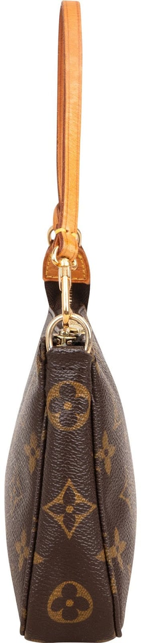 Louis Vuitton Monogram Canvas Pochette Accessoires Handbag Bruin