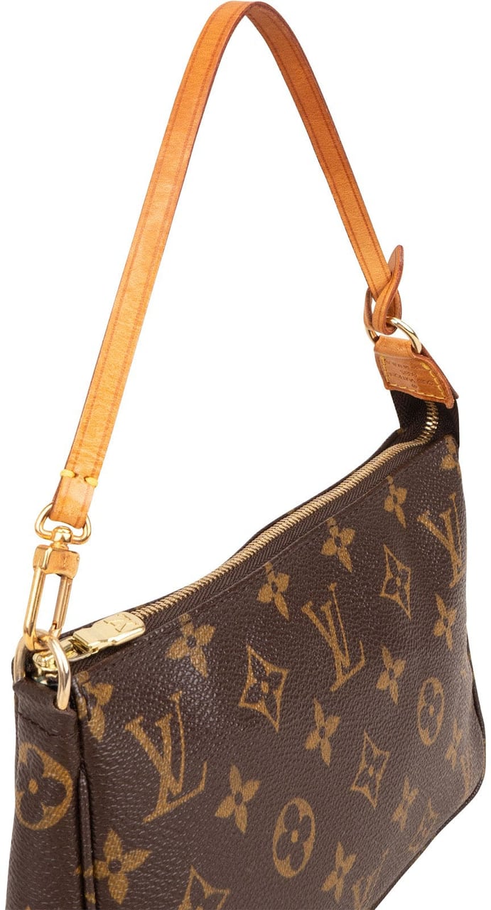 Louis Vuitton Monogram Canvas Pochette Accessoires Handbag Bruin