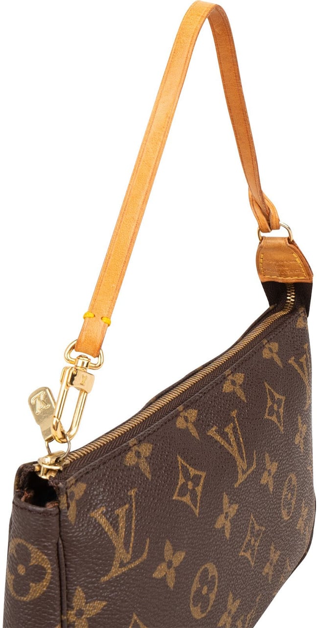 Louis Vuitton Monogram Canvas Pochette Accessoires Handbag Bruin