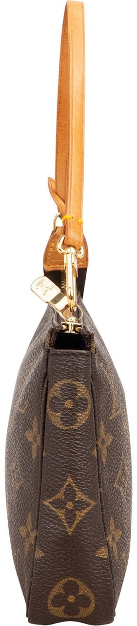 Louis Vuitton Monogram Canvas Pochette Accessoires Handbag Bruin